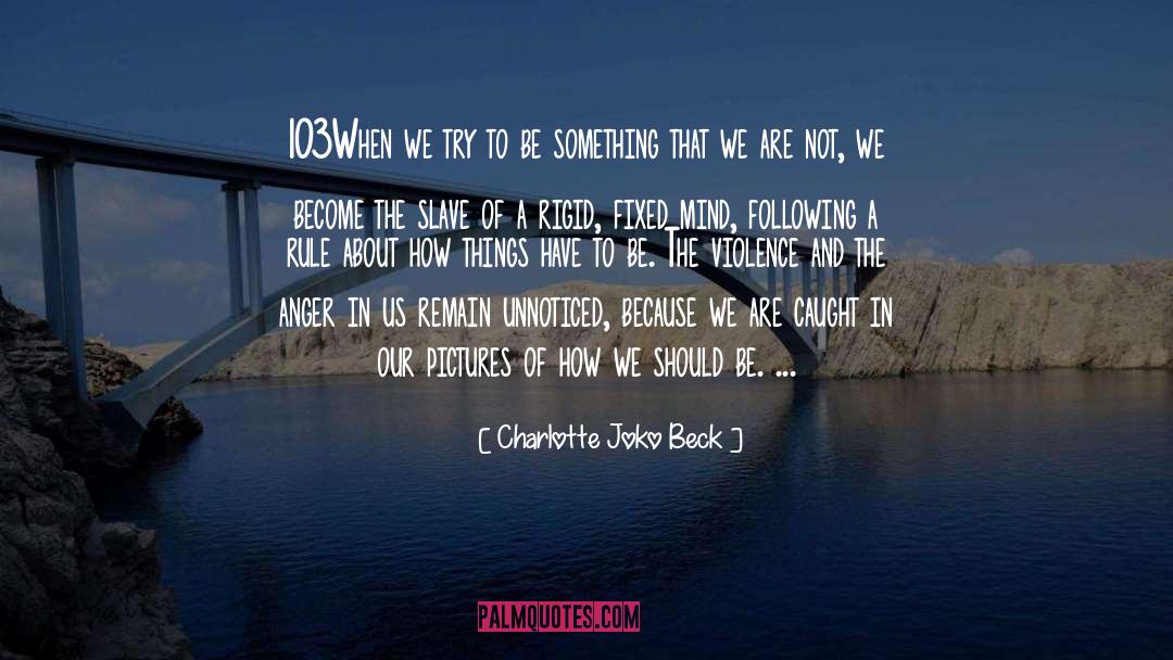 Journey Of The Mind quotes by Charlotte Joko Beck