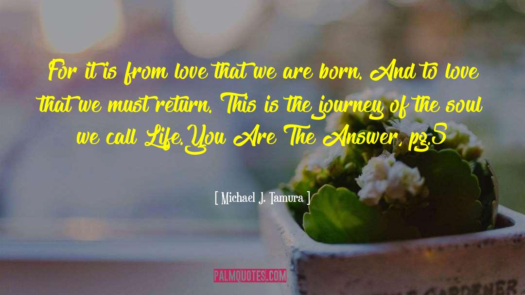 Journey Of The Soul quotes by Michael J. Tamura