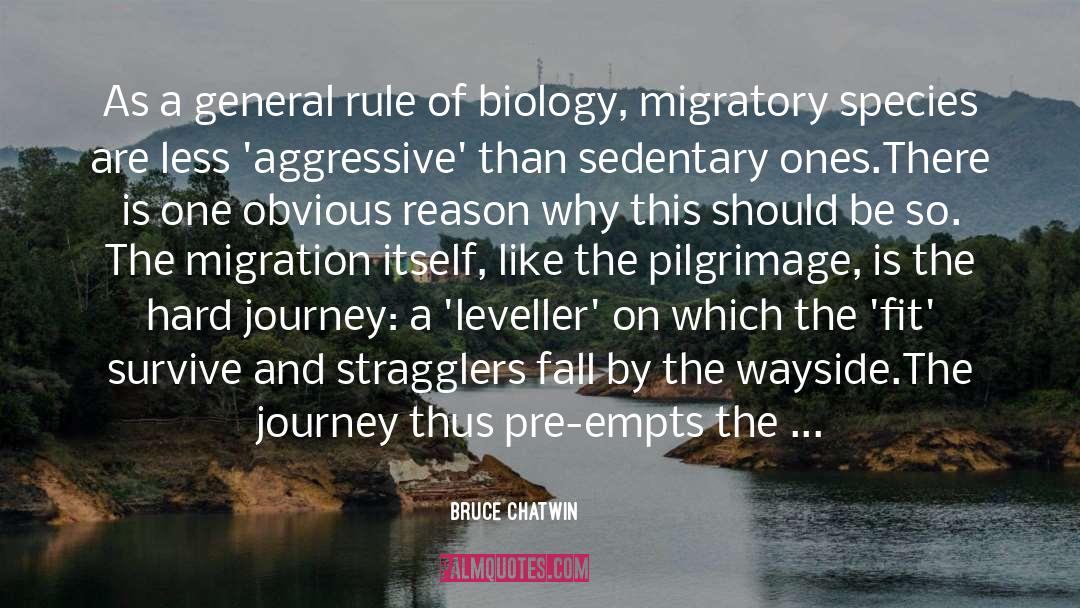 Journey Road Uncertainty quotes by Bruce Chatwin