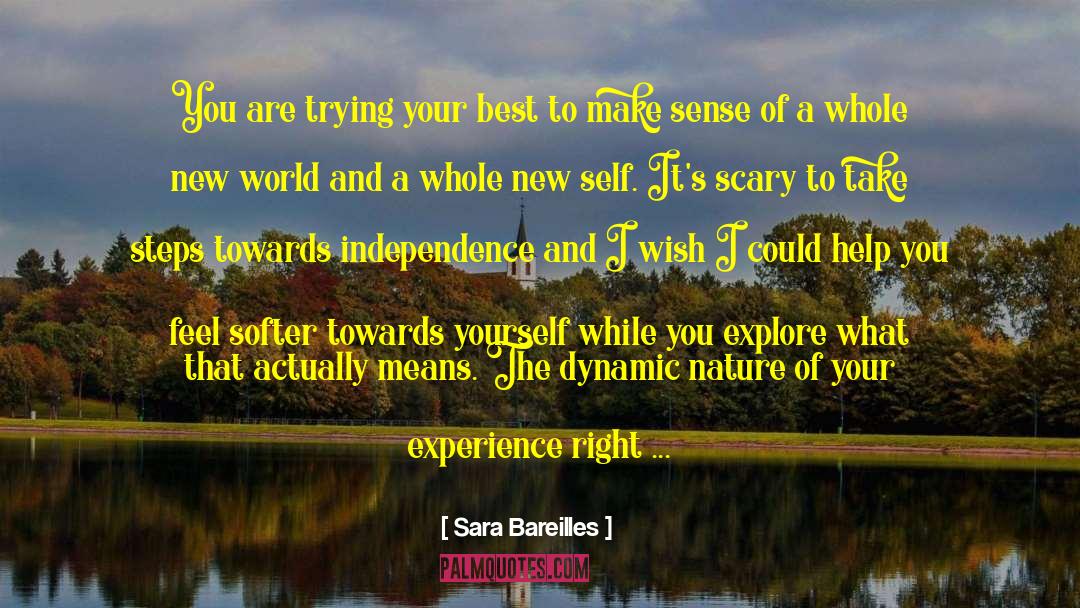Journey Self Discovery quotes by Sara Bareilles