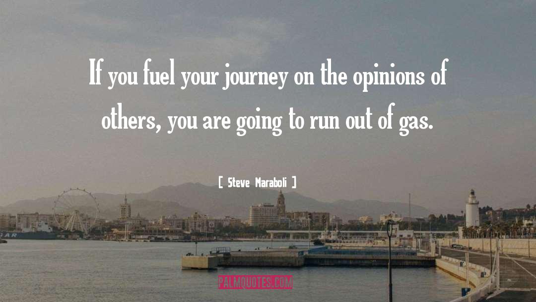 Journey To Success Radio quotes by Steve Maraboli