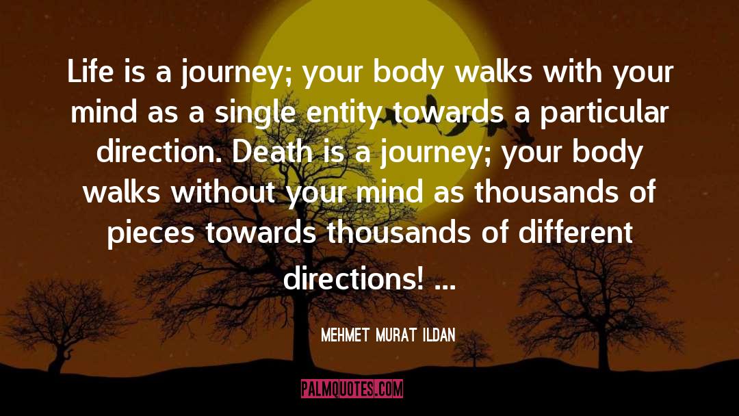 Journey With Life Partner quotes by Mehmet Murat Ildan