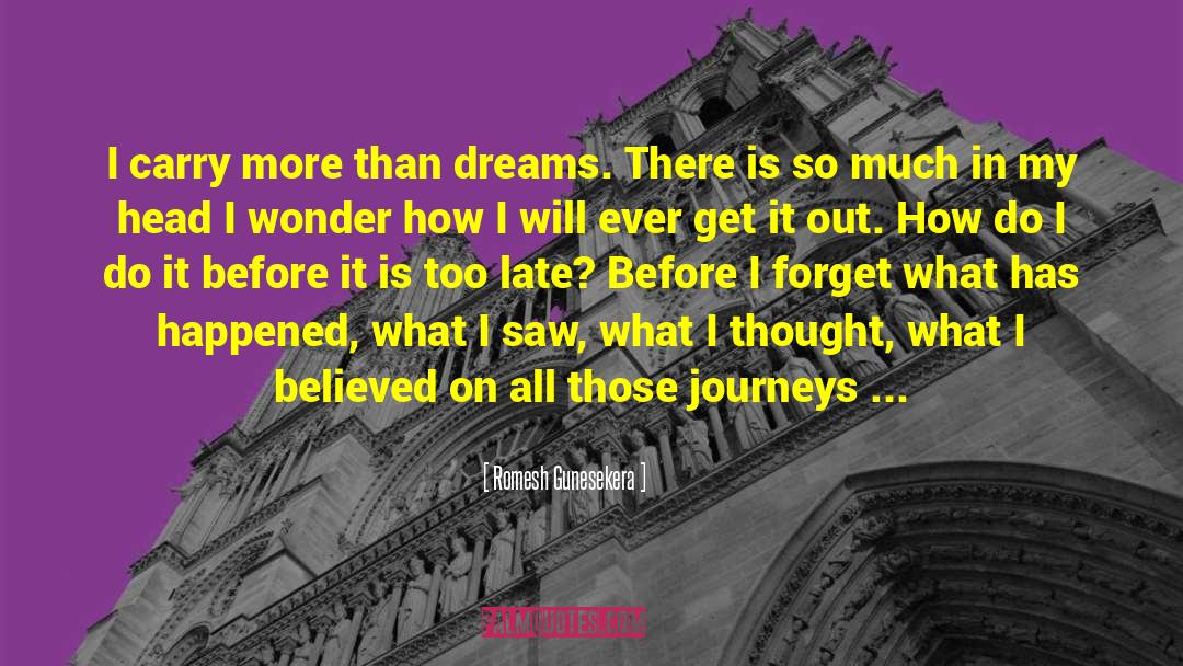 Journeys quotes by Romesh Gunesekera