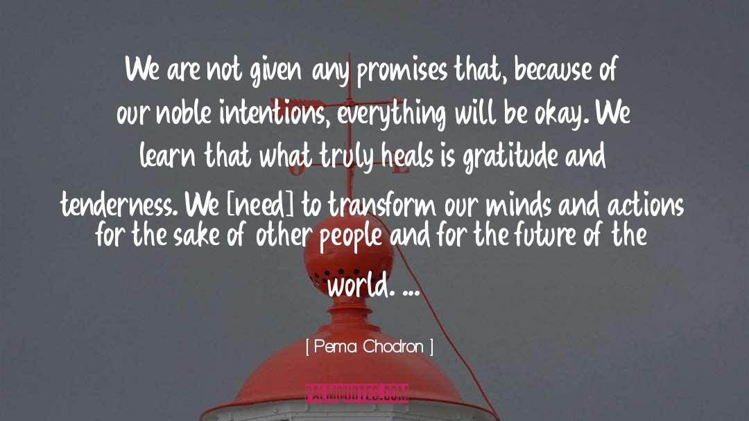 Joy And Gratitude quotes by Pema Chodron