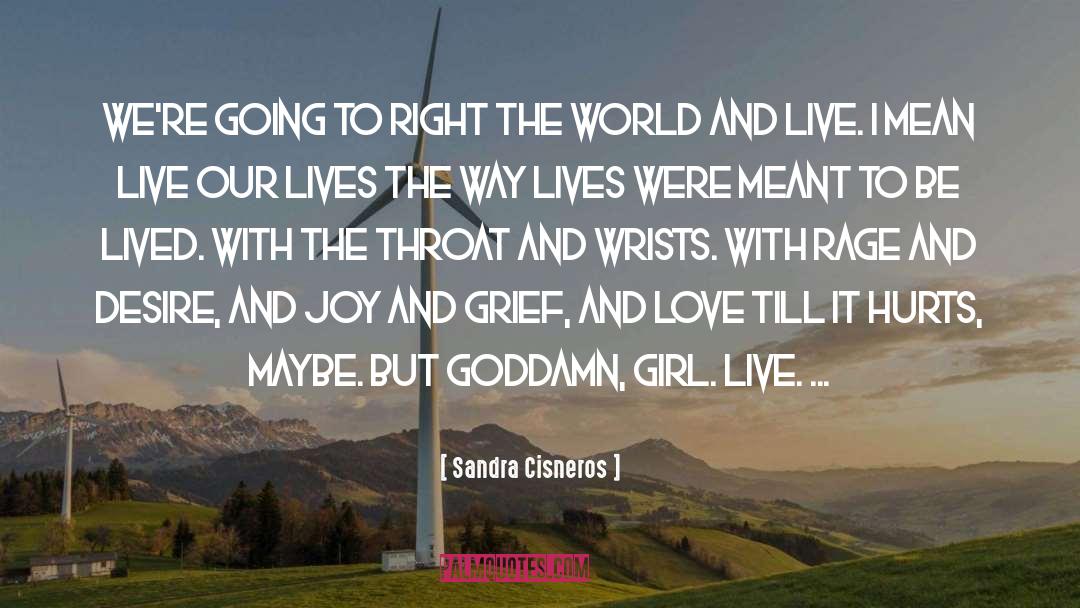 Joy And Grief quotes by Sandra Cisneros
