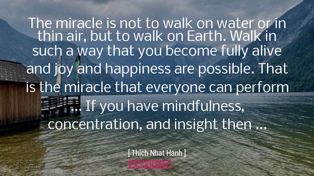 Joy And Happiness quotes by Thich Nhat Hanh