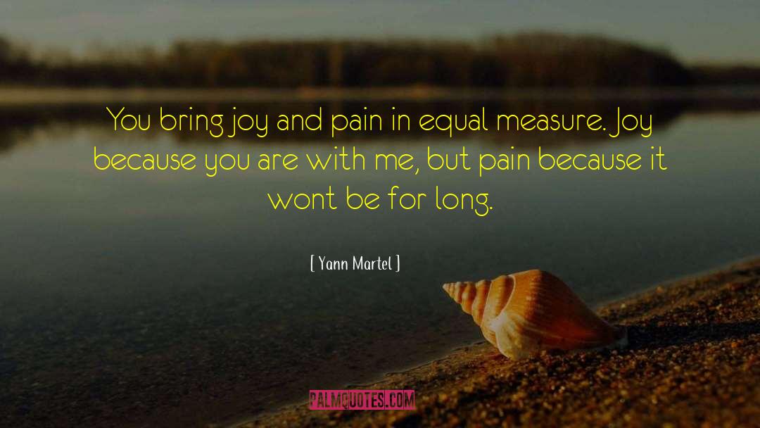 Joy And Pain quotes by Yann Martel