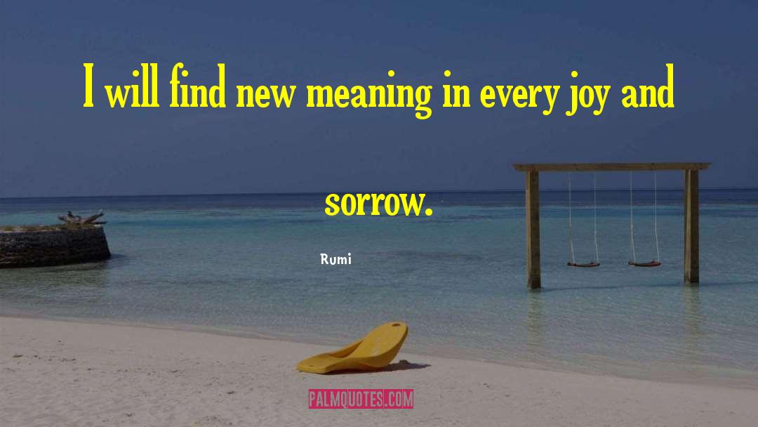 Joy And Sorrow quotes by Rumi