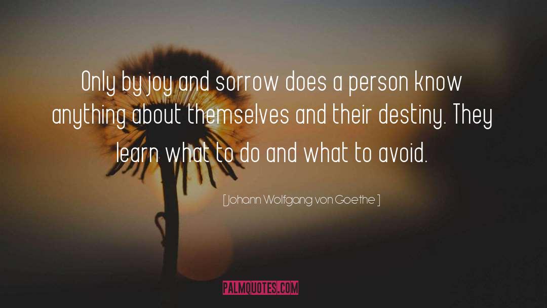 Joy And Sorrow quotes by Johann Wolfgang Von Goethe