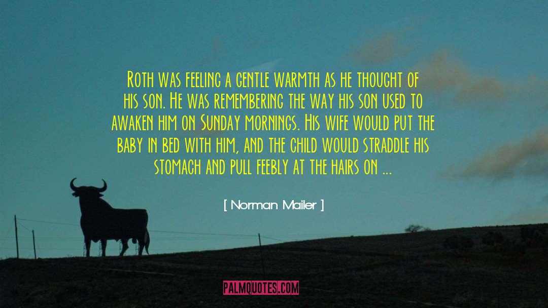 Joy Baby quotes by Norman Mailer