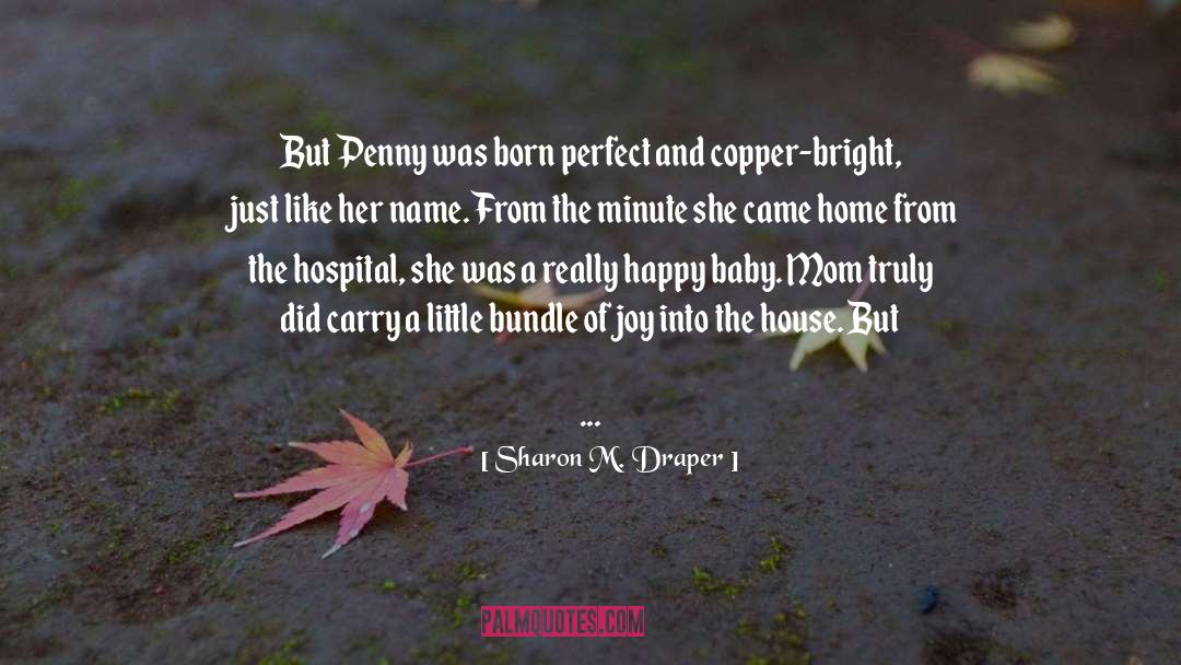 Joy Baby quotes by Sharon M. Draper