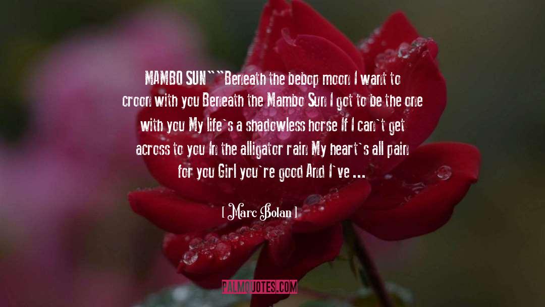 Joy Beneath Pain quotes by Marc Bolan