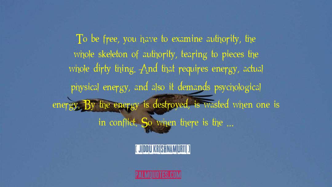 Joy In Abundance quotes by Jiddu Krishnamurti