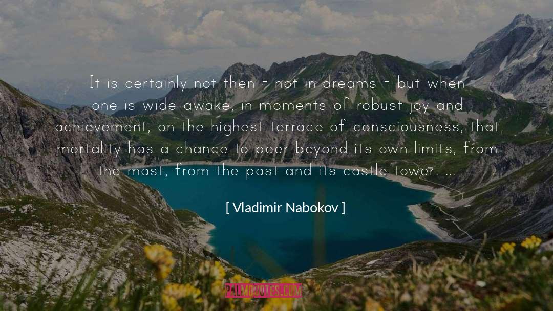 Joy In Silence quotes by Vladimir Nabokov