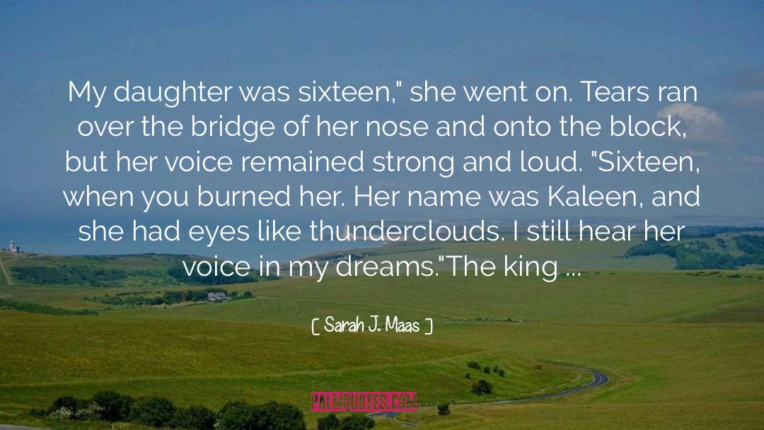 Joy In Silence quotes by Sarah J. Maas