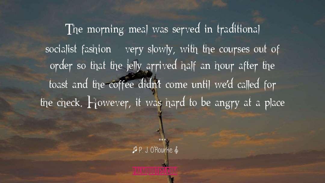 Joy In The Morning quotes by P. J. O'Rourke