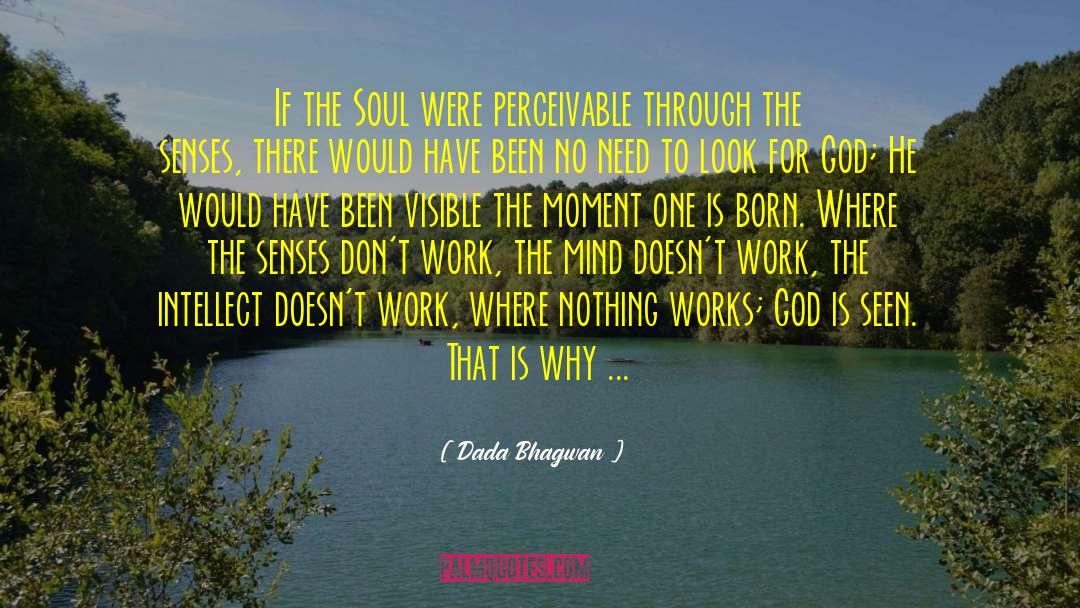 Joy In Your Soul quotes by Dada Bhagwan
