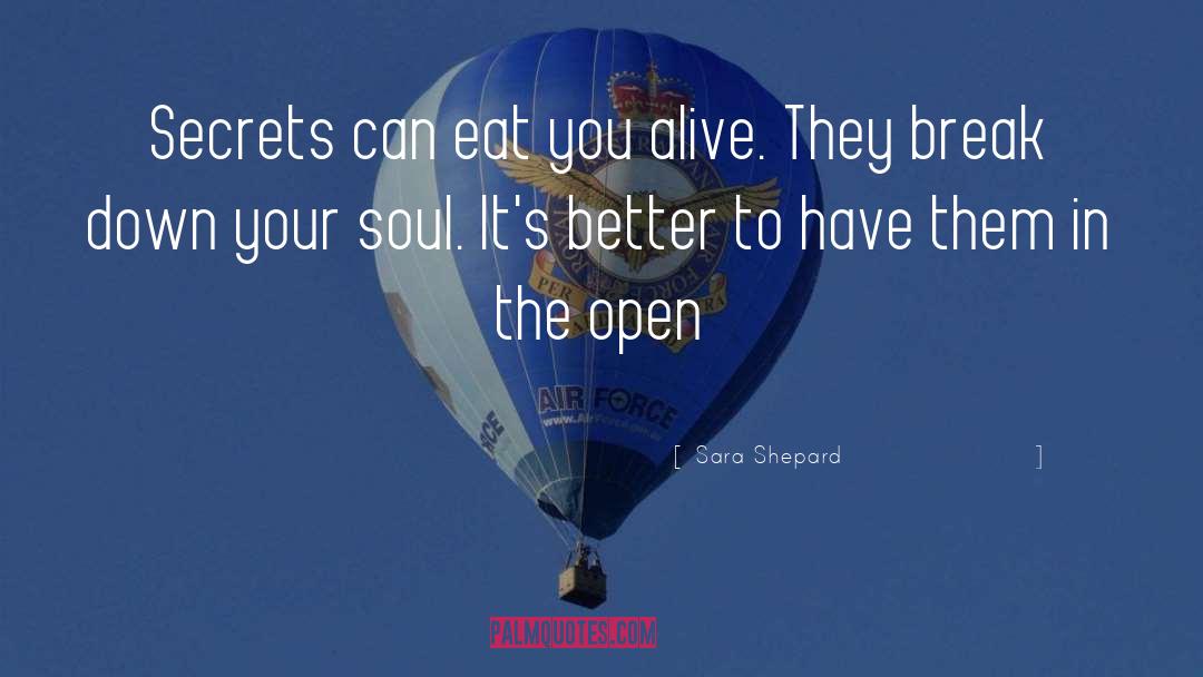 Joy In Your Soul quotes by Sara Shepard