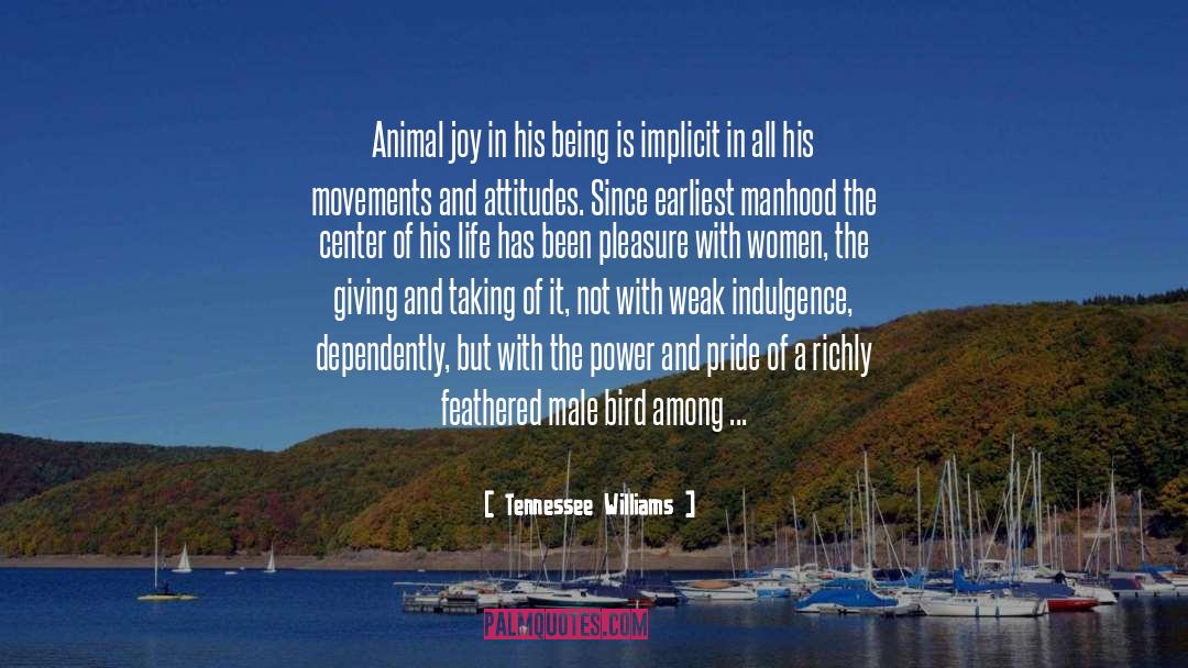 Joy Of Bird Watching quotes by Tennessee Williams