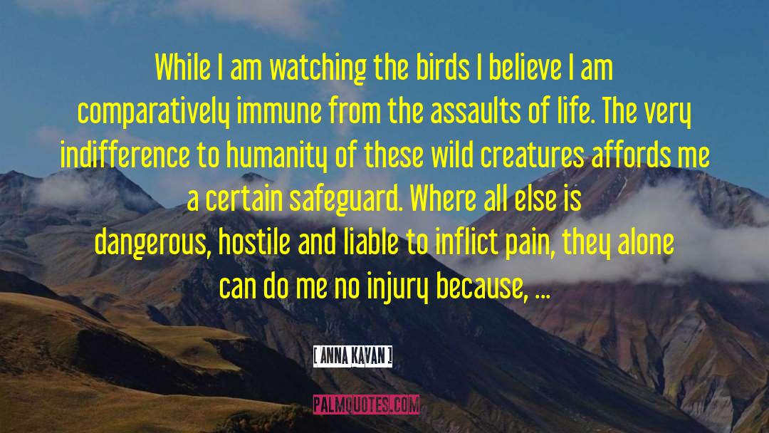 Joy Of Bird Watching quotes by Anna Kavan