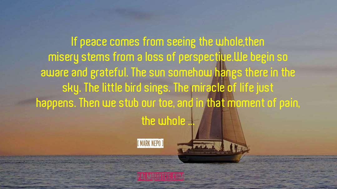 Joy Of Bird Watching quotes by Mark Nepo