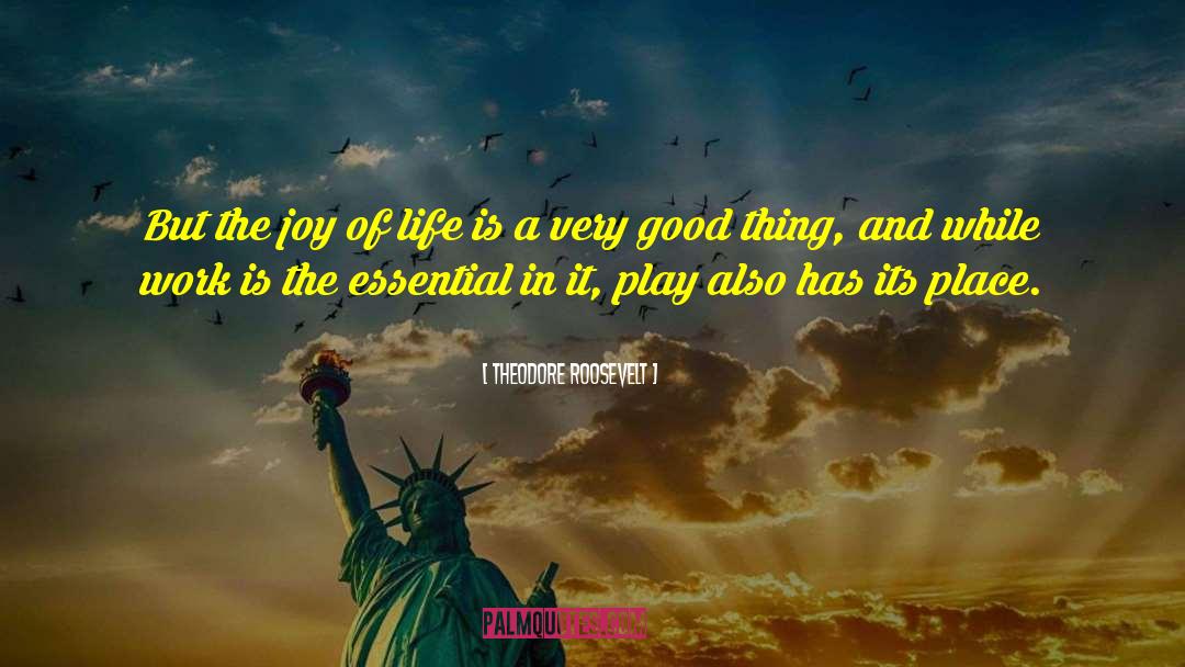 Joy Of Life quotes by Theodore Roosevelt