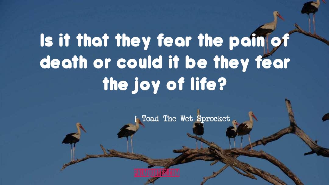 Joy Of Life quotes by Toad The Wet Sprocket