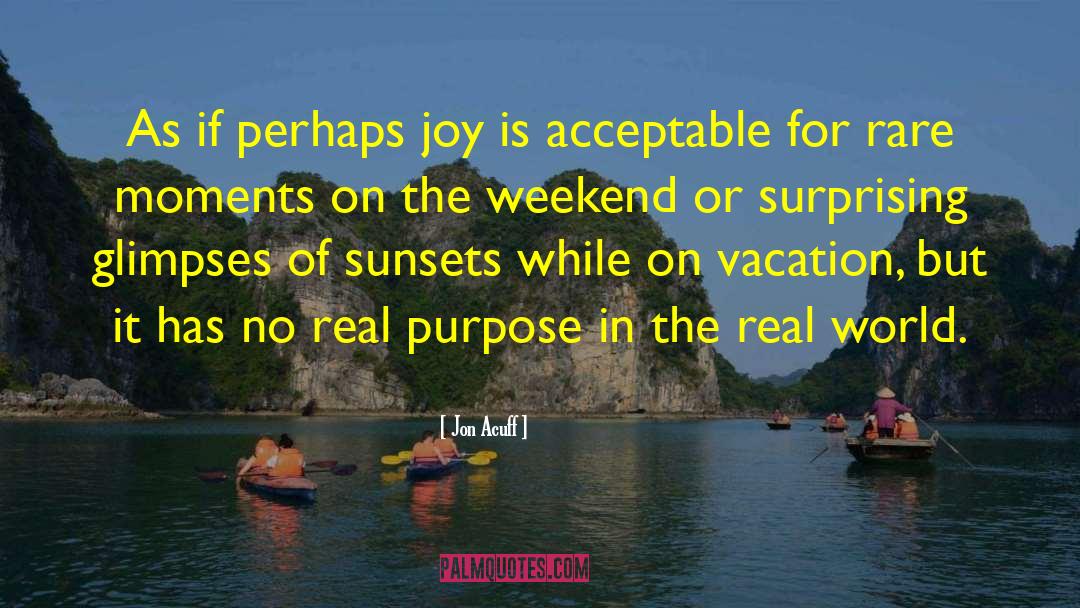 Joy Of Parenthood quotes by Jon Acuff
