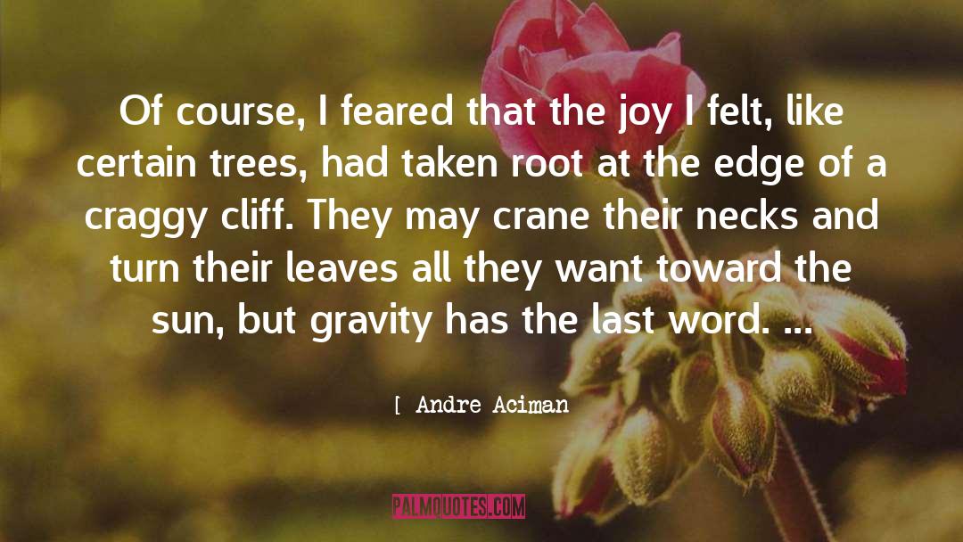 Joy Of Parenthood quotes by Andre Aciman