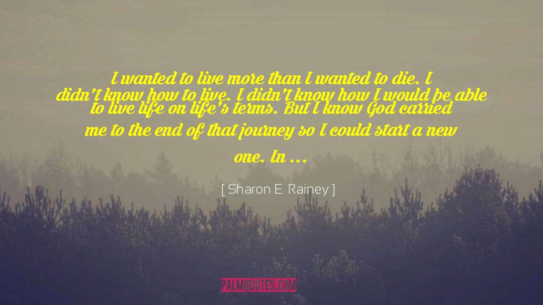 Joy Of The Journey quotes by Sharon E. Rainey