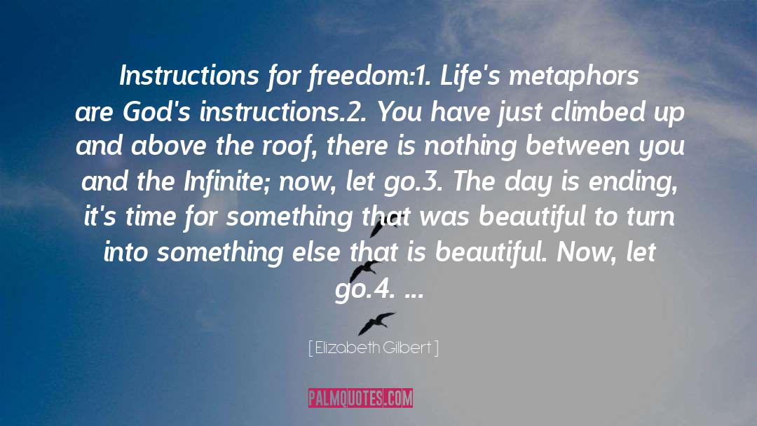 Joy Of The Journey quotes by Elizabeth Gilbert