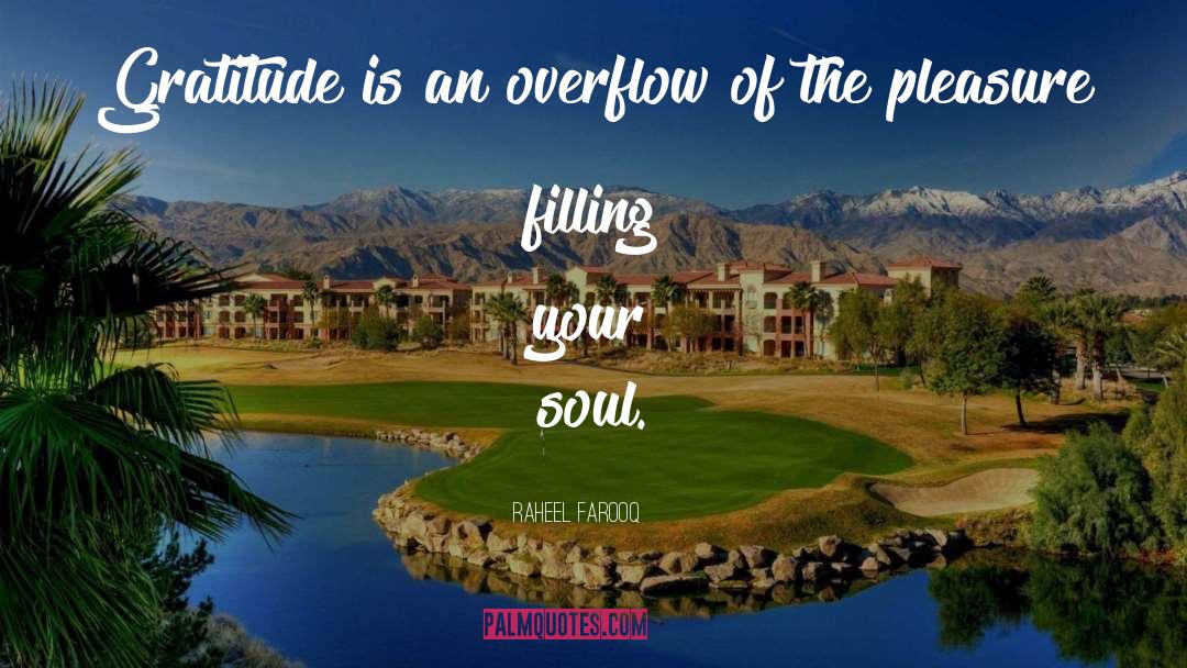 Joy Of Your Soul quotes by Raheel Farooq