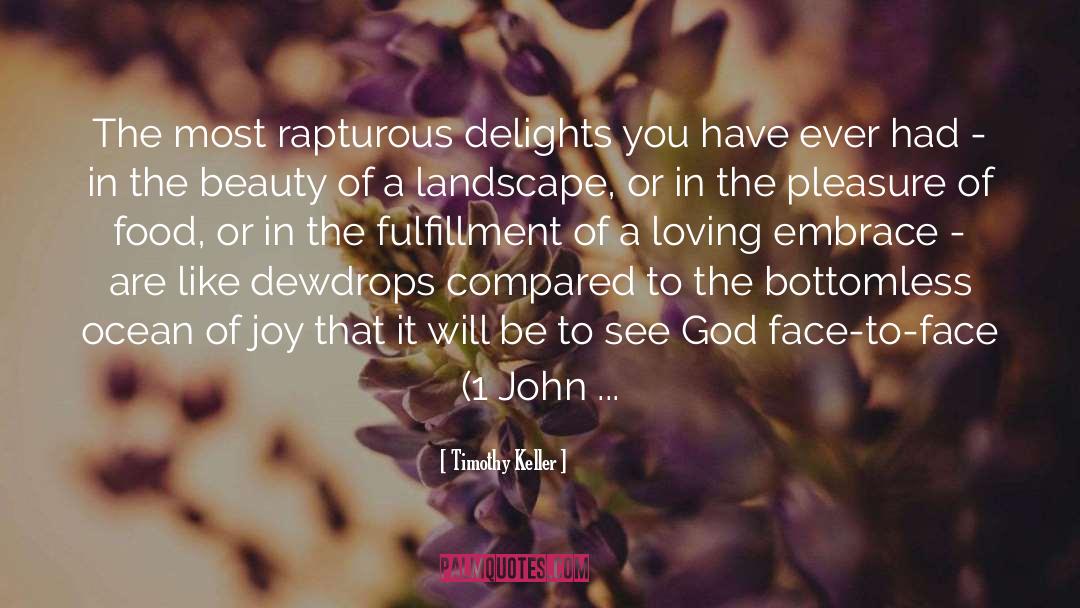 Joy quotes by Timothy Keller