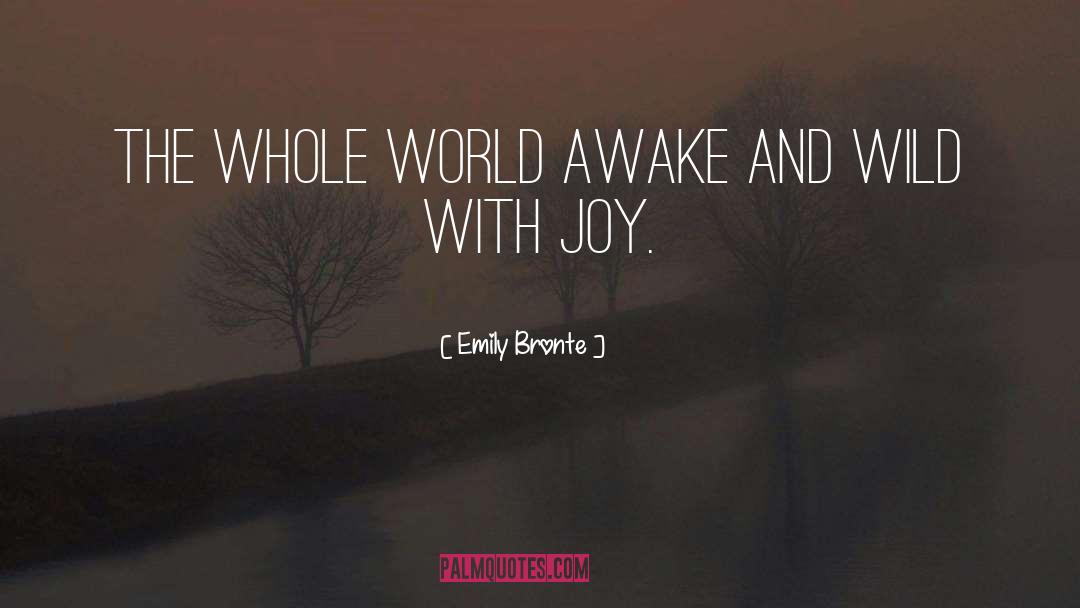 Joy quotes by Emily Bronte