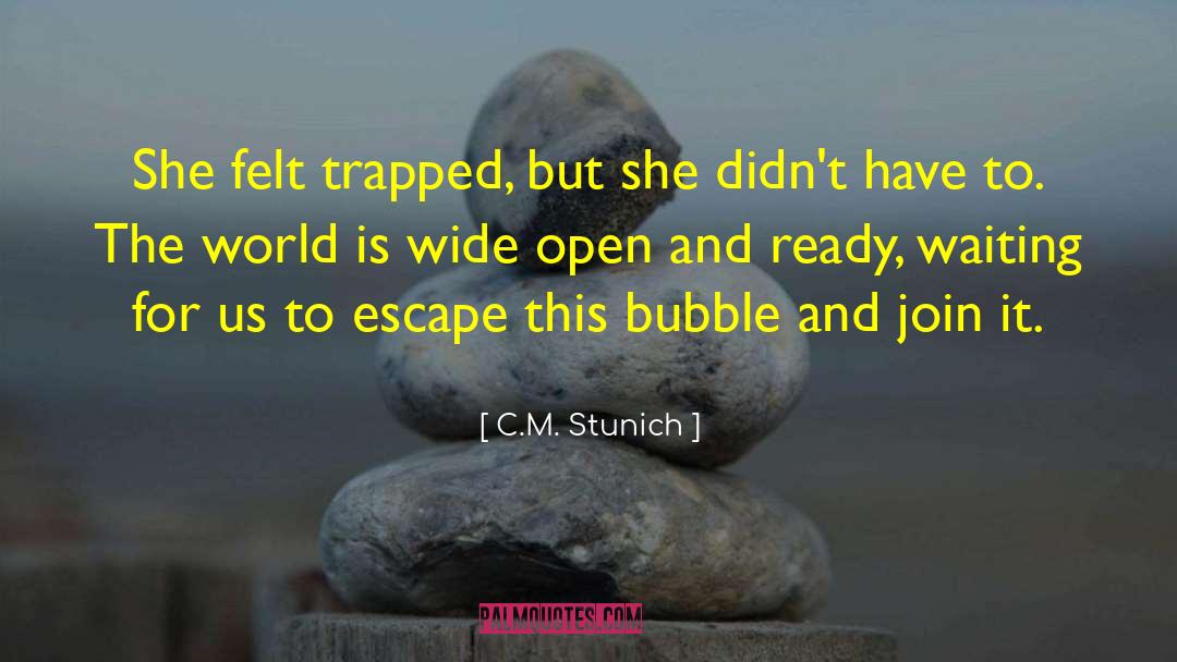 Joyfulness quotes by C.M. Stunich