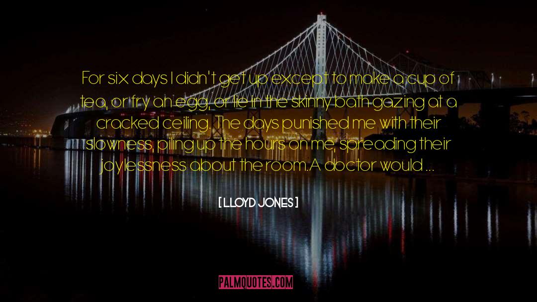 Joylessness quotes by Lloyd Jones