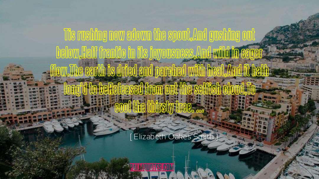 Joyousness quotes by Elizabeth Oakes Smith