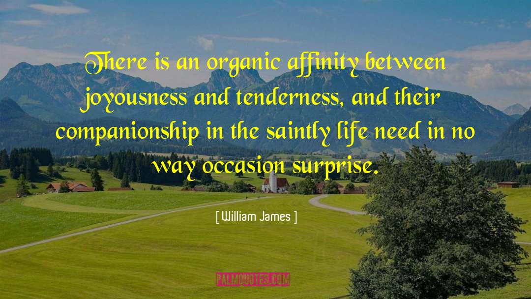 Joyousness quotes by William James