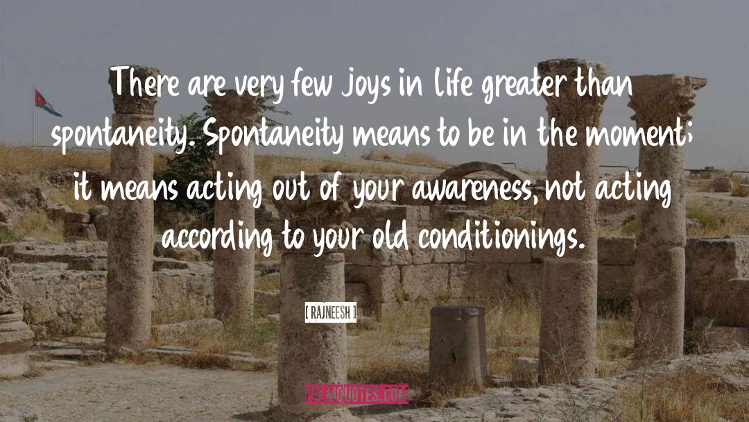 Joys In Life quotes by Rajneesh