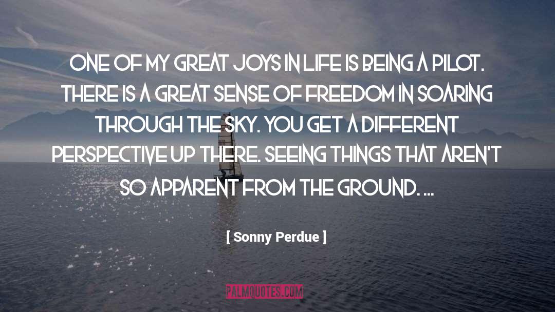 Joys In Life quotes by Sonny Perdue