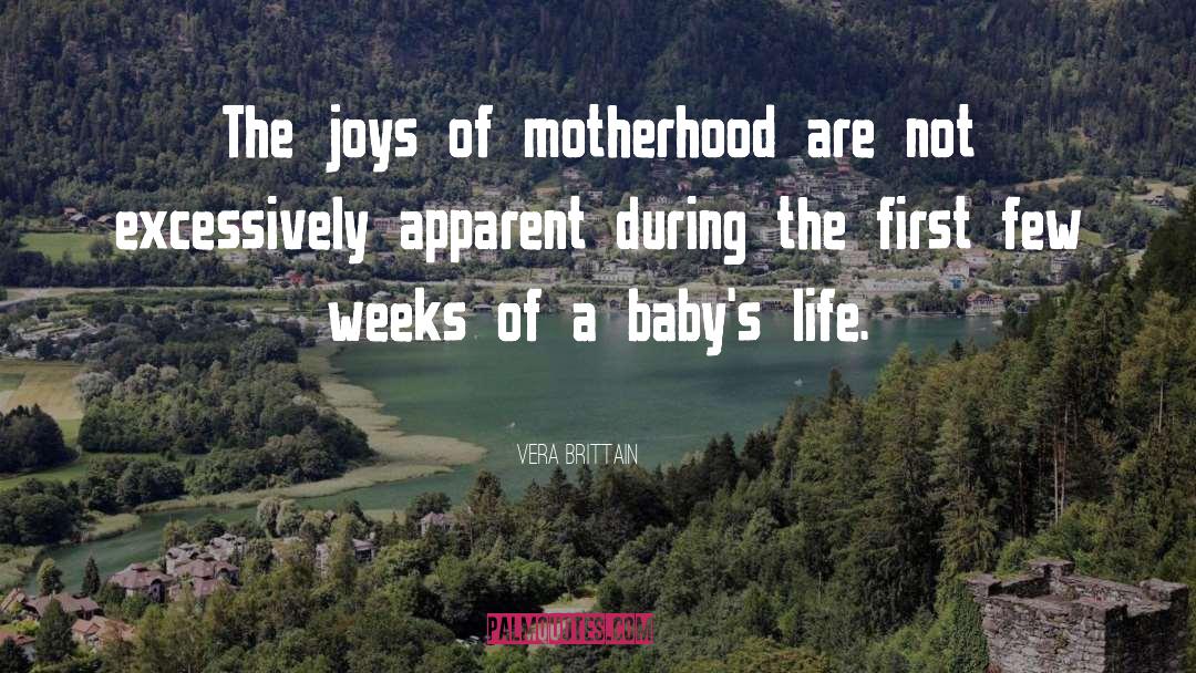 Joys Of Motherhood quotes by Vera Brittain