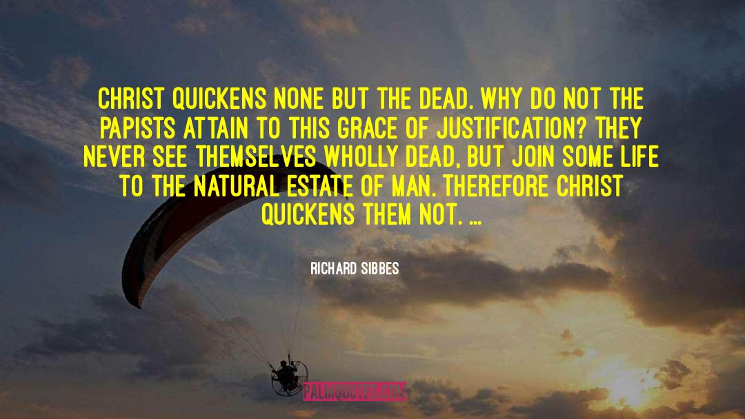 Joys Of The Dead quotes by Richard Sibbes