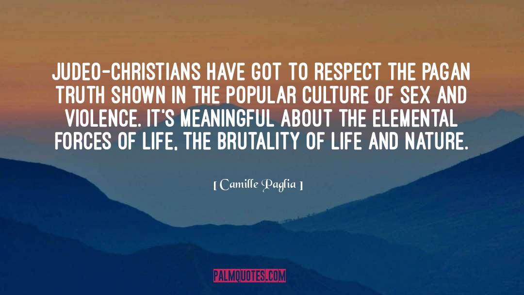 Judeo Christian Tradition quotes by Camille Paglia