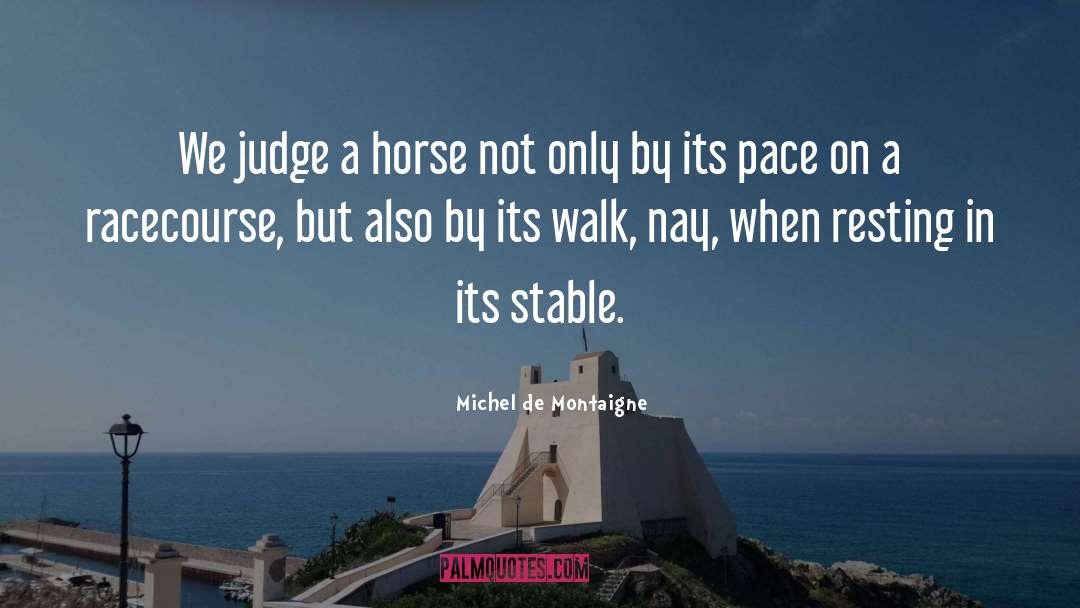 Judging By Appearance quotes by Michel De Montaigne