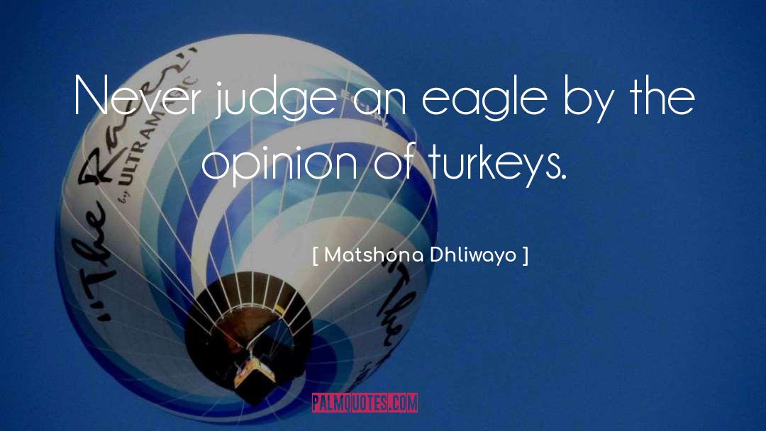 Judging Others quotes by Matshona Dhliwayo