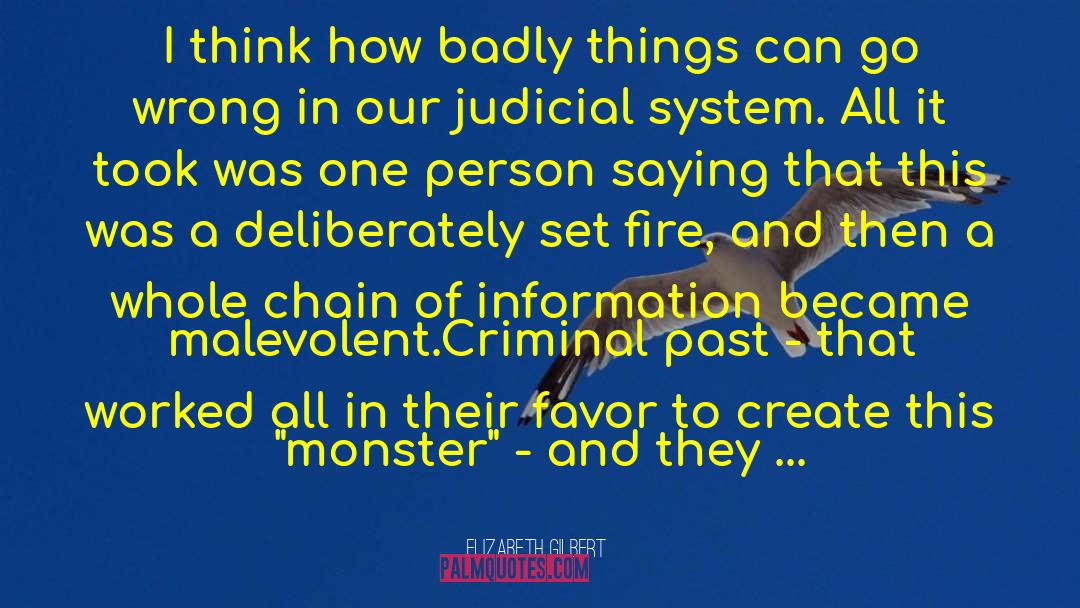 Judicial System quotes by Elizabeth Gilbert