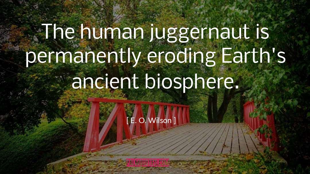 Juggernaut quotes by E. O. Wilson