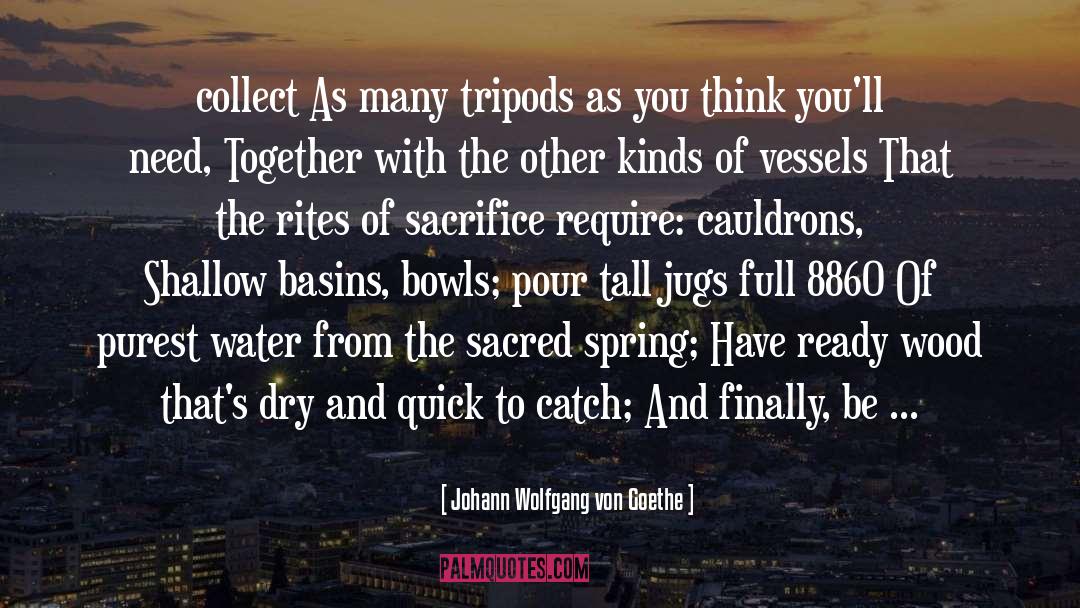 Jugs quotes by Johann Wolfgang Von Goethe