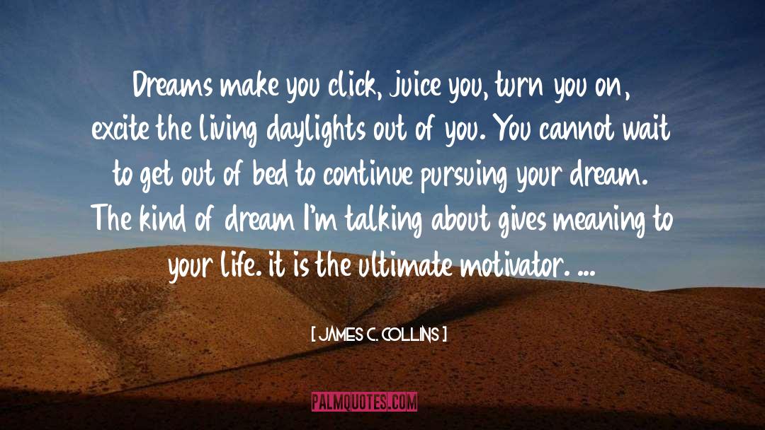 Juice quotes by James C. Collins