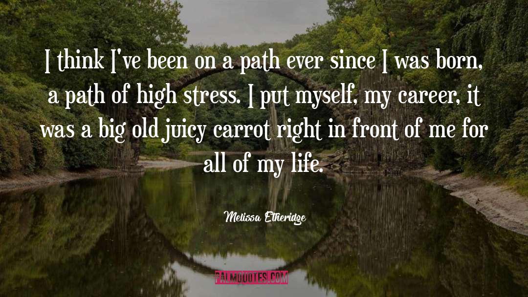 Juicy quotes by Melissa Etheridge